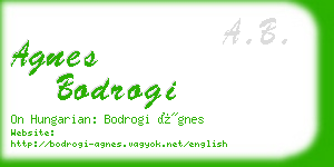 agnes bodrogi business card